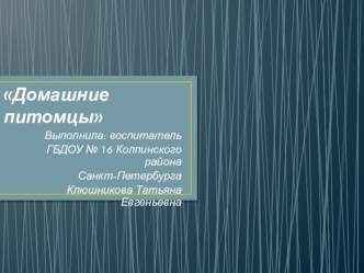 Домашние питомцы. презентация урока для интерактивной доски по окружающему миру (средняя группа)