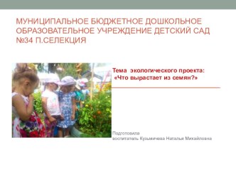 Презентация Что вырастает из семян презентация к уроку (средняя группа)