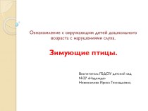 НОД Зимующие птицы презентация к уроку по окружающему миру (старшая группа)