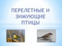 Презентация Зимующие и перелетные птицы презентация к занятию (окружающий мир, старшая группа) по теме