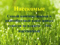 Насекомые презентация к уроку по окружающему миру (подготовительная группа)