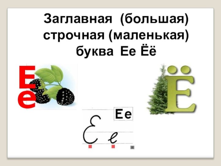 Заглавная (большая) строчная (маленькая) буква 	Ее Ёё