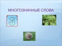 Презентация Многозначные слова презентация к уроку по русскому языку (3 класс) по теме