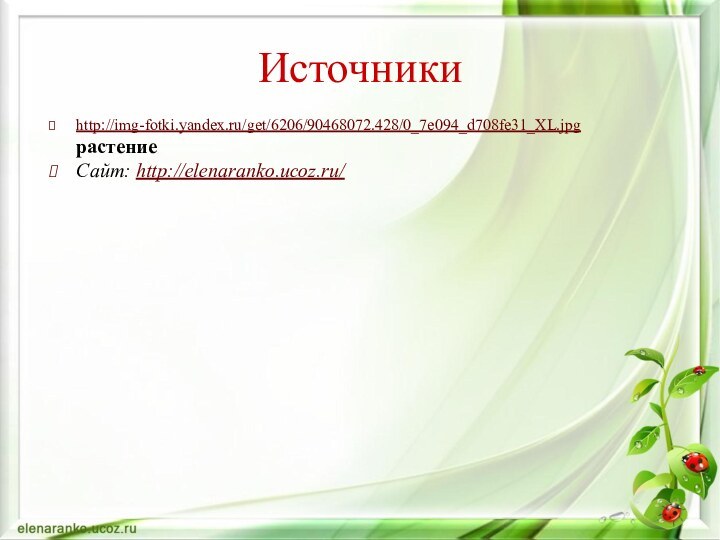 http://img-fotki.yandex.ru/get/6206/90468072.428/0_7e094_d708fe31_XL.jpg  растениеСайт: http://elenaranko.ucoz.ru/ Источники