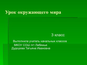 Материал для создания сайта электронный образовательный ресурс