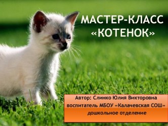 Мастер - класс Котёнок учебно-методическое пособие по аппликации, лепке (средняя группа)