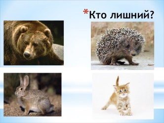 zhanna igra - kopiya - kopiya