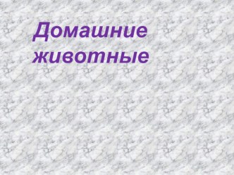 Презентация : Домашние животные презентация к уроку (средняя группа)