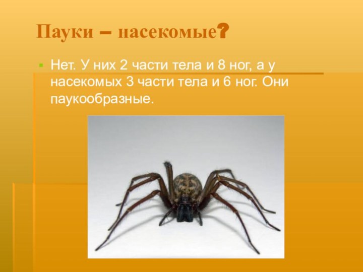 Пауки – насекомые?Нет. У них 2 части тела и 8 ног, а