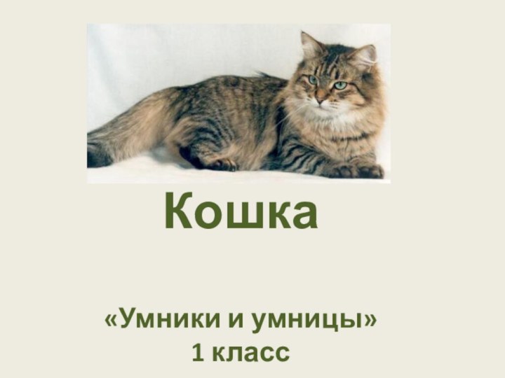 Кошка  «Умники и умницы» 1 класс