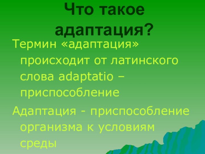 Что такое адаптация?Термин «адаптация» происходит от латинского слова adaptatio – приспособление Адаптация