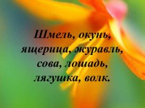 Многообразие животных, урок и презентация, 3 класс методическая разработка по окружающему миру (3 класс) по теме