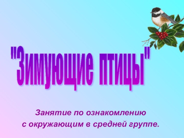 Занятие по ознакомлению с окружающим в средней группе.