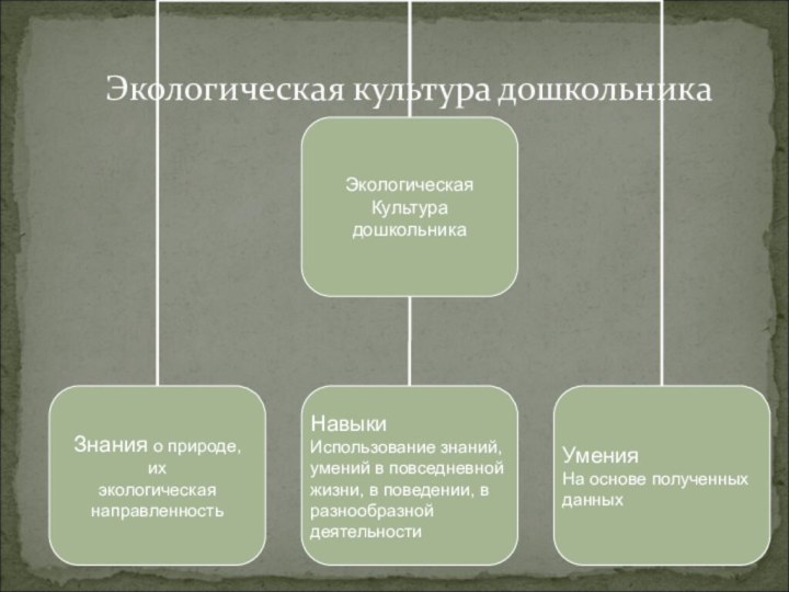 Экологическая культура дошкольника