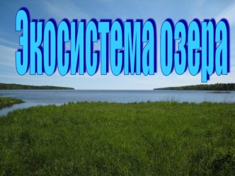 презентация к уроку окружающего мира Экосистема озера презентация к уроку по окружающему миру (3 класс)