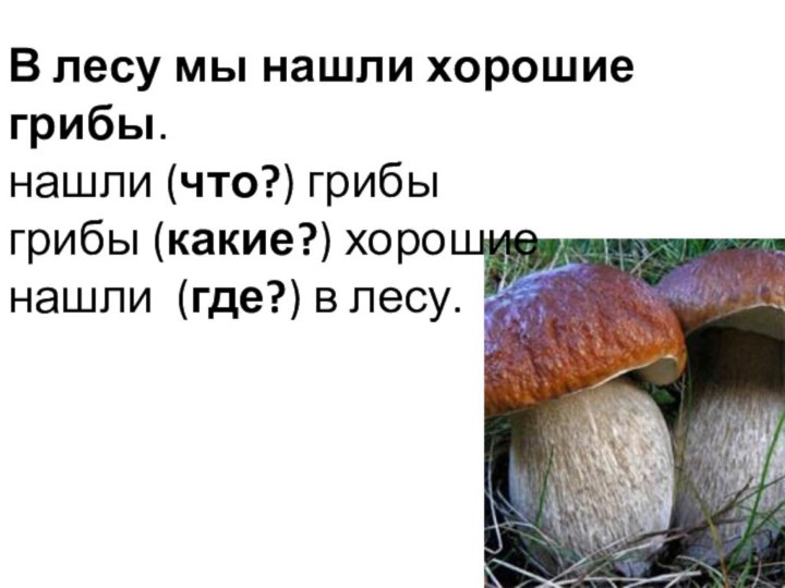 В лесу мы нашли хорошие грибы.нашли (что?) грибыгрибы (какие?) хорошиенашли (где?) в лесу.