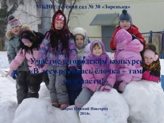 Городской конкурс В лесу родилась ёлочка - там ей и расти! презентация по теме