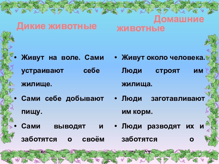 Дикие животные Живут на воле. Сами устраивают себе жилище.Сами себе добывают пищу.Сами