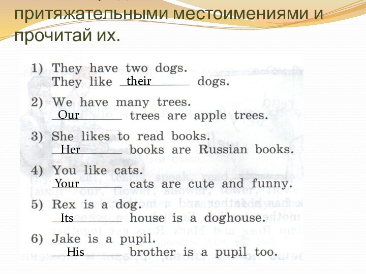 Закончи предложения притяжательными местоимениями и прочитай их.theirOurHerYourItsHis