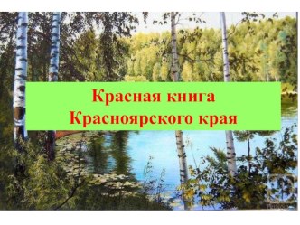 Красная книга Красноярского края дошкольникам. Животные. учебно-методическое пособие по окружающему миру (старшая, подготовительная группа)