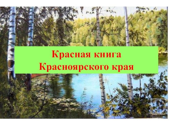 Красная книга  Красноярского края