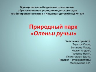 Проект Природный парк Оленьи ручьи презентация по окружающему миру