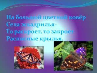 Пластилинография.Бабочка. 1 класс. план-конспект занятия по изобразительному искусству (изо, 1 класс)