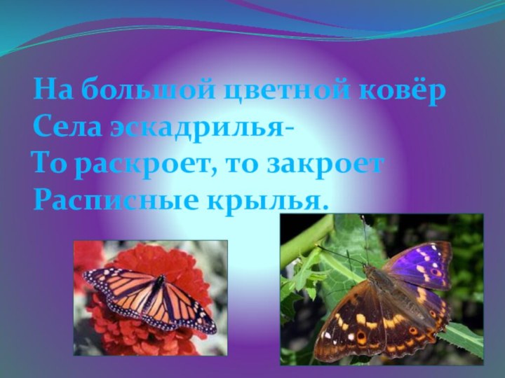 На большой цветной ковёрСела эскадрилья-То раскроет, то закроетРасписные крылья.