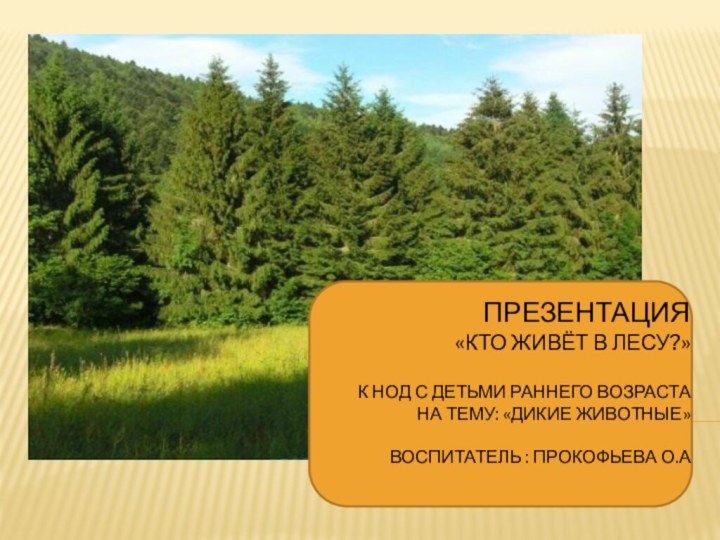 Презентация  «Кто живёт в лесу?»  к НОД с детьми