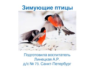 Интерактивная презентация Зимующие птицы презентация к уроку по окружающему миру (средняя группа)