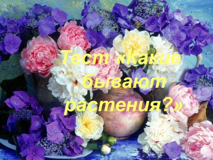 Тест «Какие бывают растения?»