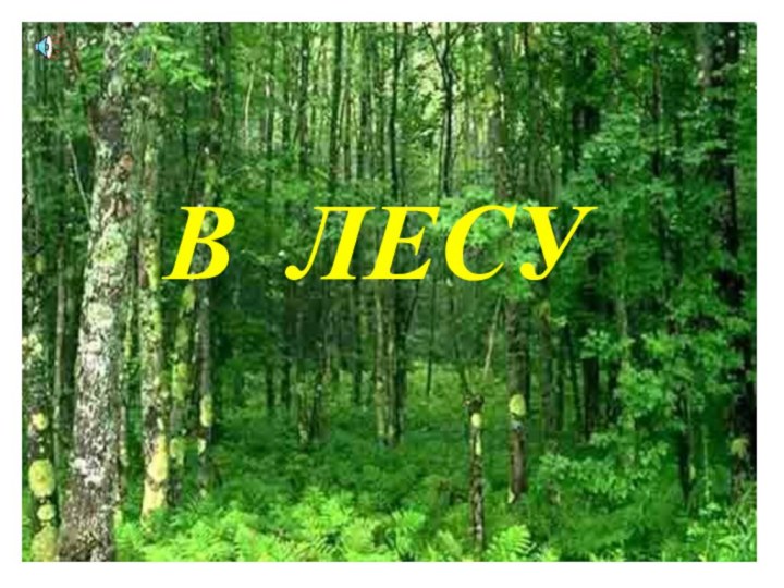 В ЛЕСУ