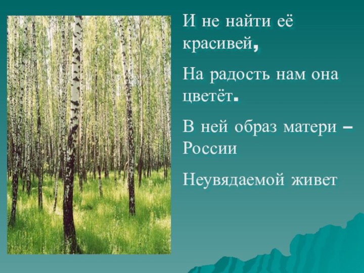 И не найти её красивей,На радость нам она цветёт.В ней образ матери – РоссииНеувядаемой живет