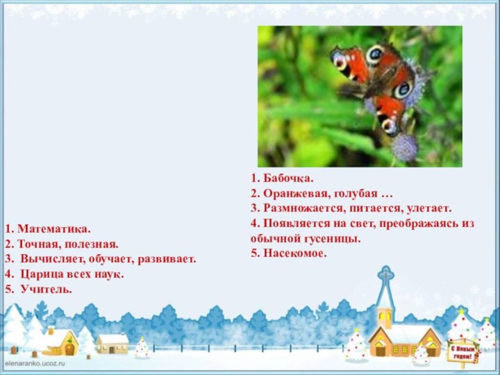 1. Бабочка. 2. Оранжевая, голубая … 3. Размножается, питается, улетает. 4. Появляется