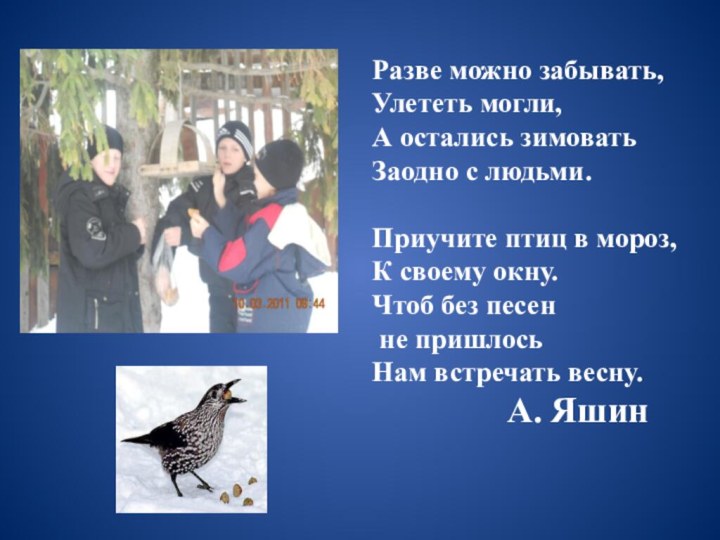 Разве можно забывать,Улететь могли,А остались зимоватьЗаодно с людьми.Приучите птиц в мороз,К своему