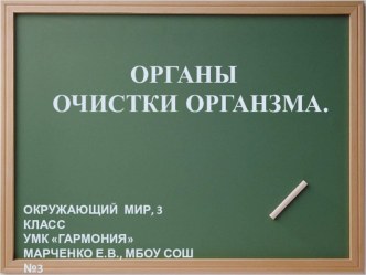 Организм человека: Органы очистки организма (3 класс, УМК Гармония) презентация к уроку по окружающему миру (3 класс) по теме