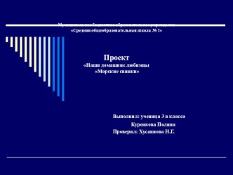 работа ученика 3 класса Куренковой Полины презентация к уроку по окружающему миру (3 класс)