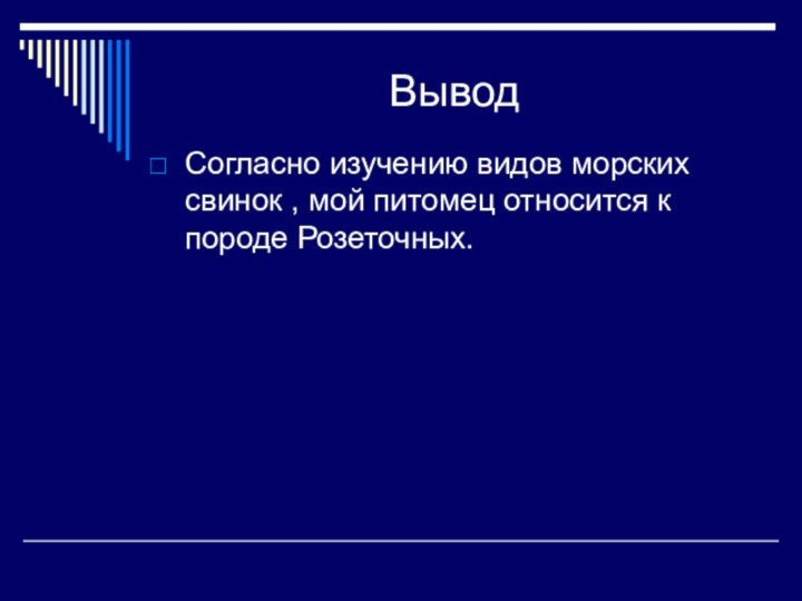 Вывод Согласно изучению видов морских свинок , мой питомец относится к породе Розеточных.