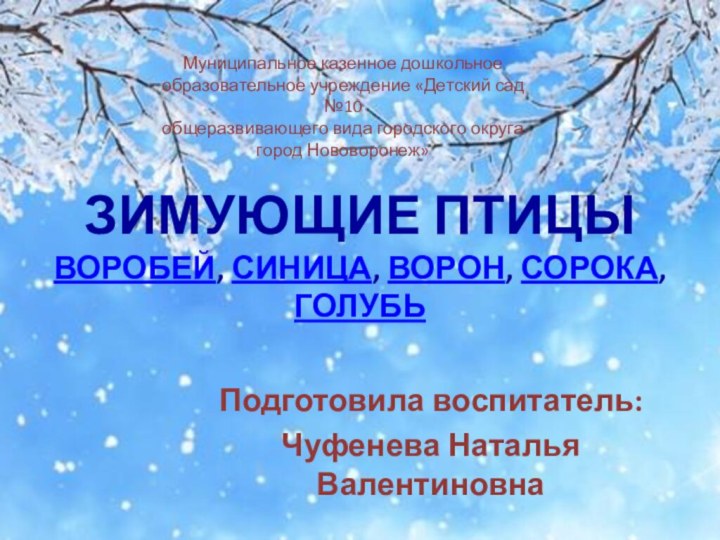 Зимующие птицы воробей, синица, ворон, сорока, голубь Подготовила воспитатель: Чуфенева Наталья ВалентиновнаМуниципальное