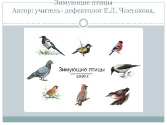 Коррекционно-развивающее занятие Зимующие птицы Подготовительная к школе группа (дети с ОВЗ имеющие задержку психического развития) план-конспект занятия по окружающему миру (подготовительная группа)