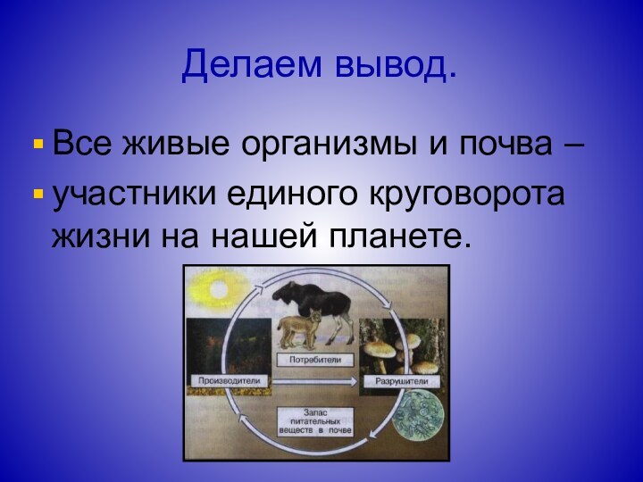 Делаем вывод.Все живые организмы и почва – участники единого круговорота жизни на нашей планете.