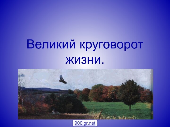 Великий круговорот жизни.900igr.net