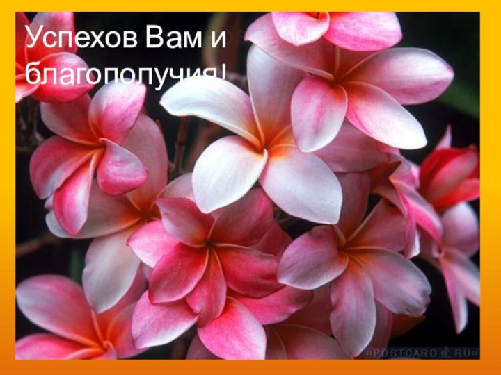 Успехов Вам и благополучия!