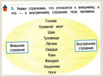 Учебно-методический комплект (конспект урока+презентация) для 2 класса. Школа России. Тема: Если хочешь быть здоров план-конспект урока по окружающему миру (2 класс)