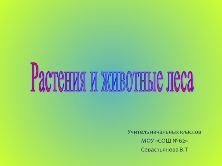 Растения и животные леса