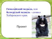 Проект: Гимала́йский медве́дь, или белогру́дый медве́дь – символ Хабаровского края. проект (младшая группа)