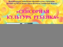 Сенсорная культура ребёнка презентация к занятию по окружающему миру (младшая группа)