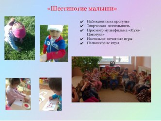 Проект  Шестиногие малыши вторая младшая группа проект (младшая группа)                          Проект  Шестиногие малыши