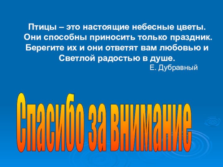 Птицы – это настоящие небесные цветы.Они способны приносить только праздник.Берегите их и