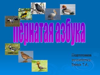 Пернатая азбука презентация к уроку по окружающему миру